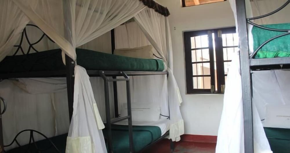 Standard Shared Dormitory photo 3