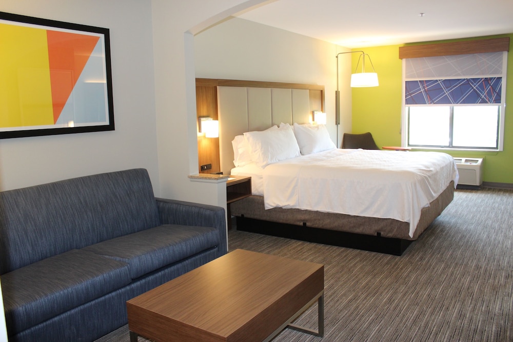 Suite, 1 King Bed - Photo 1