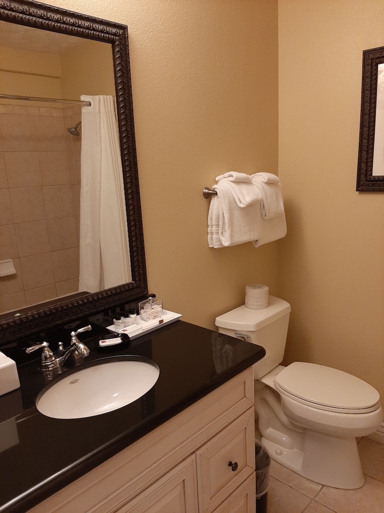 Standard King Room (No Pets Allowed) photo 2