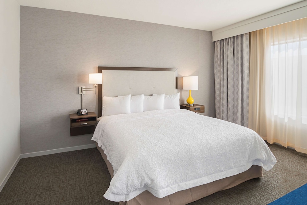 Room, 1 King Bed, Accessible, Non Smoking (w/ roll-in shower) photo 3