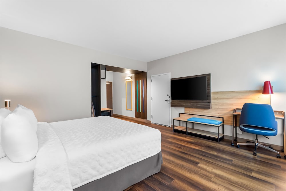 Room, 1 King Bed, Accessible (Roll-In Shower)