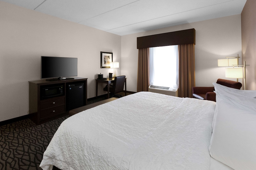Room, 1 King Bed with Sofa bed, Refrigerator & Microwave photo 2
