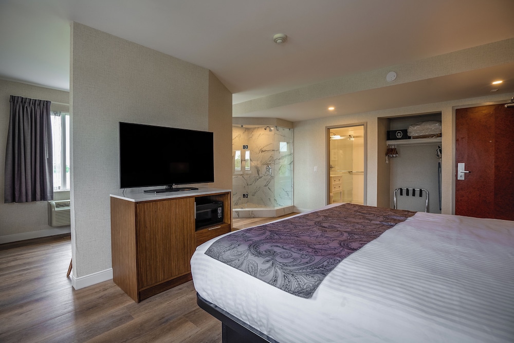 Luxury Studio Suite