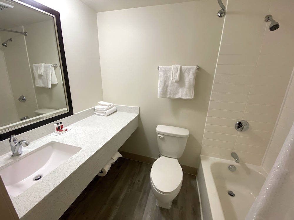 Deluxe Room - Photo 2