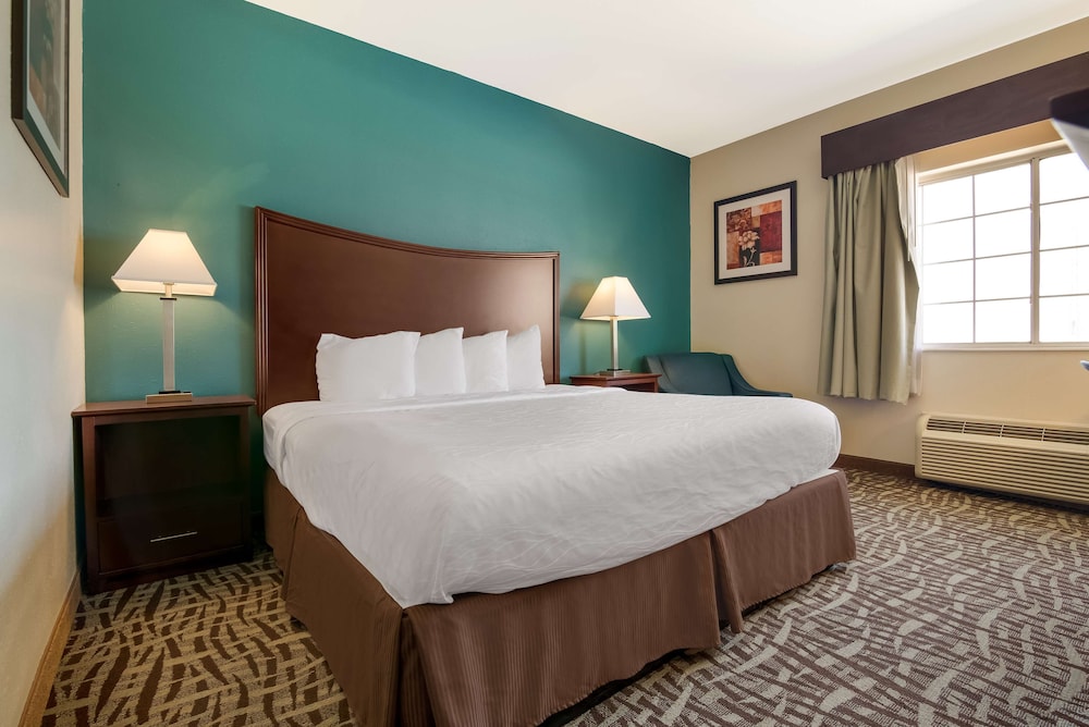 Standard Room, 1 King Bed, Non Smoking, Refrigerator & Microwave (Small Room) - Photo 1