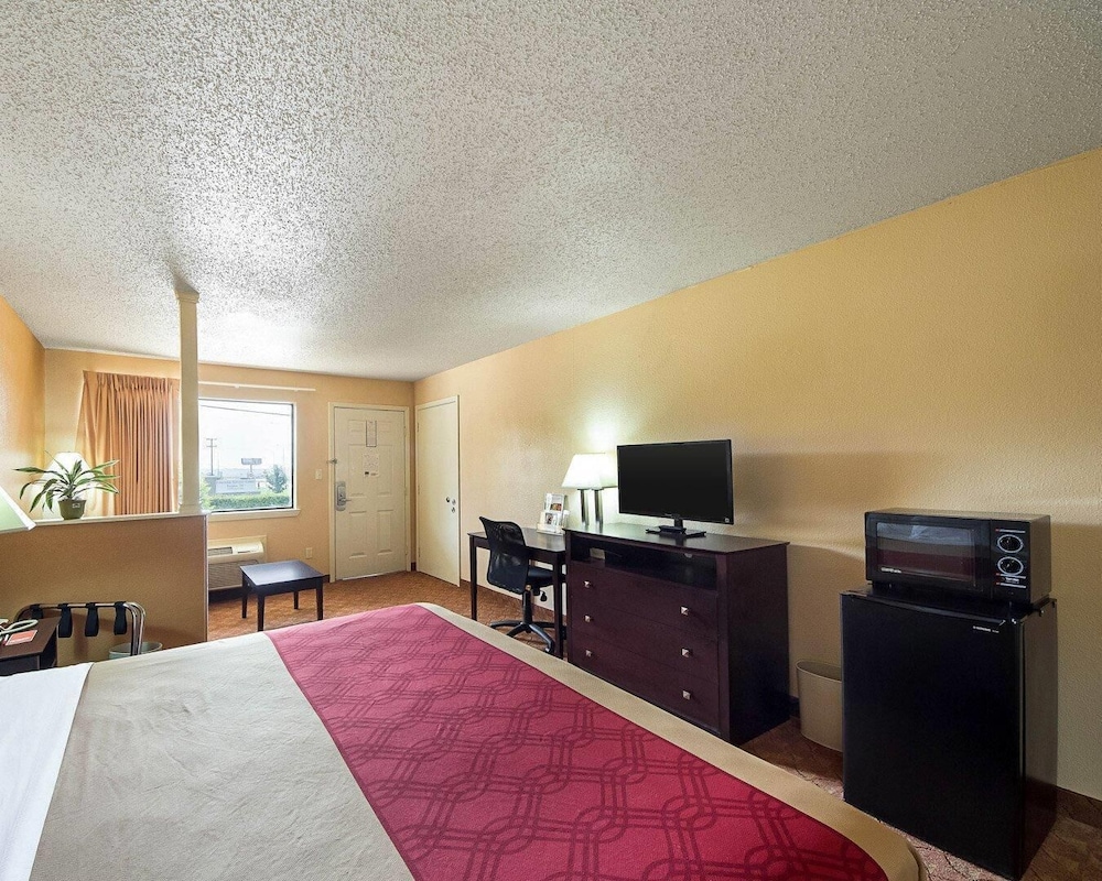 Suite, 1 King Bed with Sofa bed, Non Smoking - Photo 4