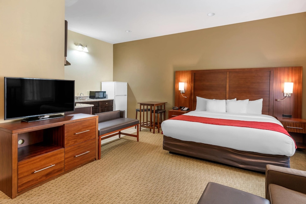 Suite, 1 King Bed, Non Smoking photo 1