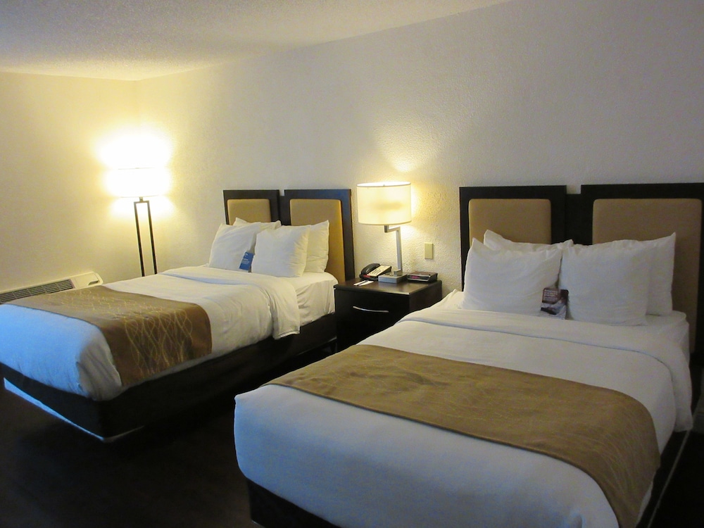 Double Room, 2 Double Beds, Non Smoking, City View photo 3