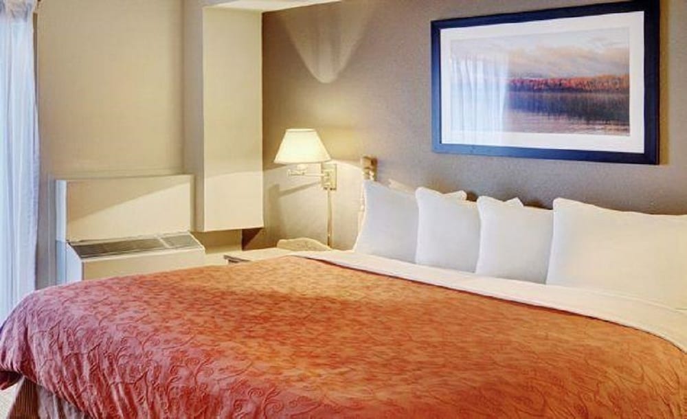 Standard Single Room, 1 King Bed