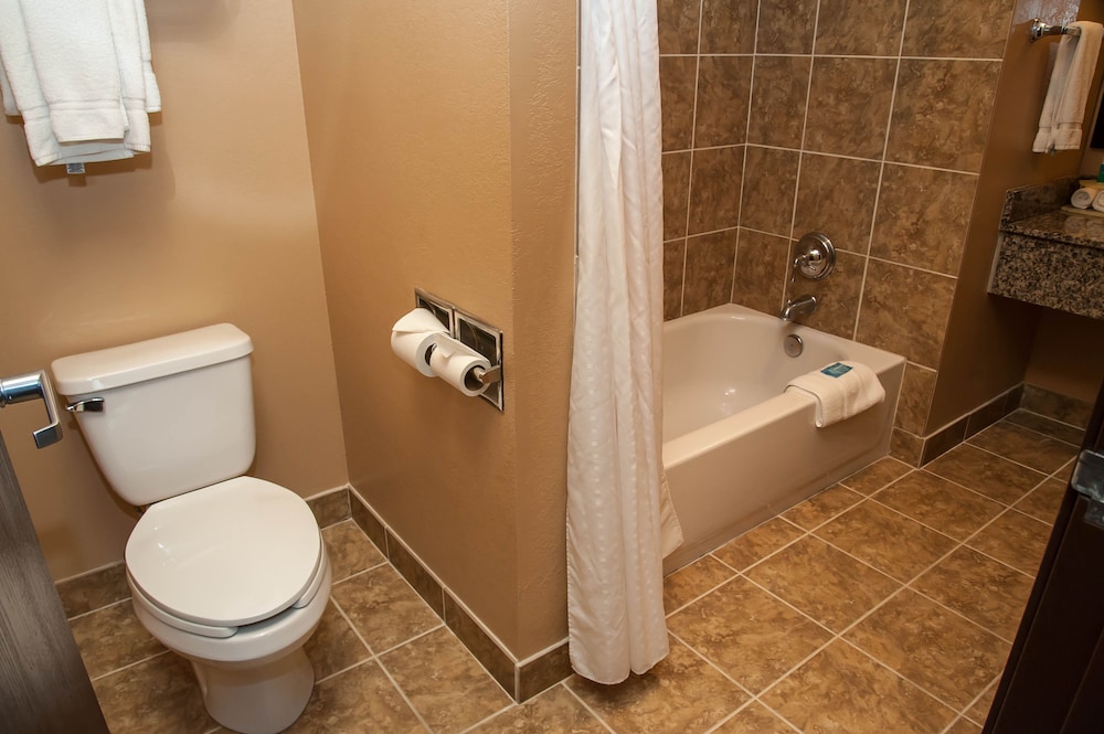 Suite, 1 King Bed (Extra Living Area) - Photo 8