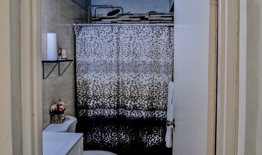 Grand Single Room, 1 King Bed photo 2