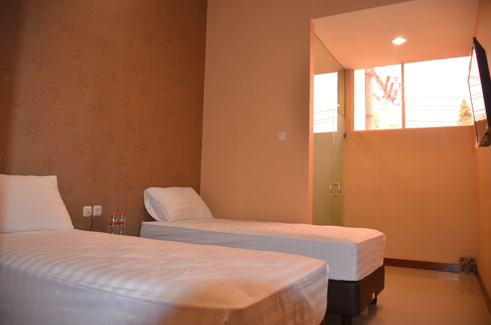 Deluxe Double or Twin Room photo 1