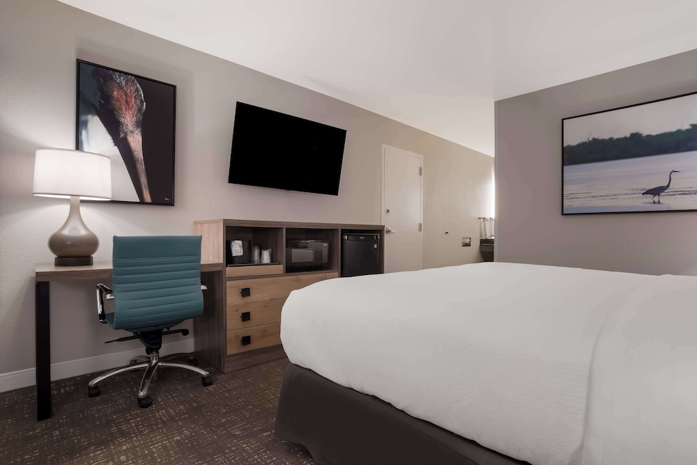 Standard Room, 1 King Bed, Accessible, Refrigerator & Microwave - Photo 6