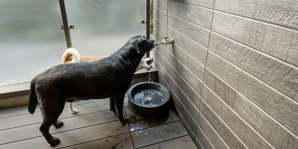 [Dog-friendly] Room for 8 People, Non Smoking - Photo 19