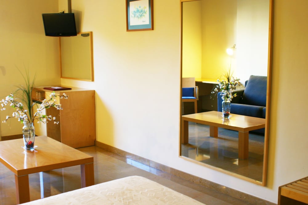 Superior Double or Twin Room photo 2