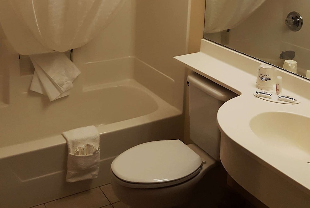Microtel Inn & Suites by Wyndham Bellevue, 사진 5