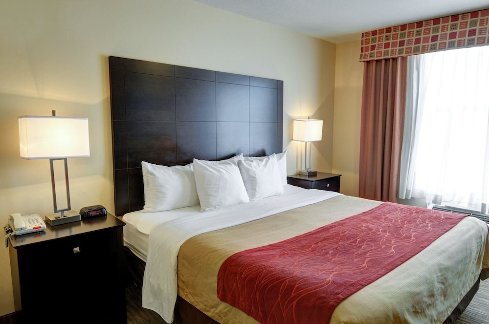 Suite, 1 King Bed, Non Smoking, Jetted Tub - Photo 3