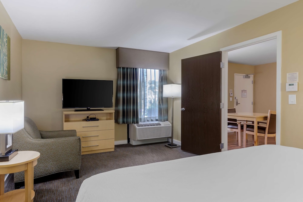 Suite, 1 King Bed, Accessible, Non Smoking (Walk-in Shower;with Sofabed) - Photo 10
