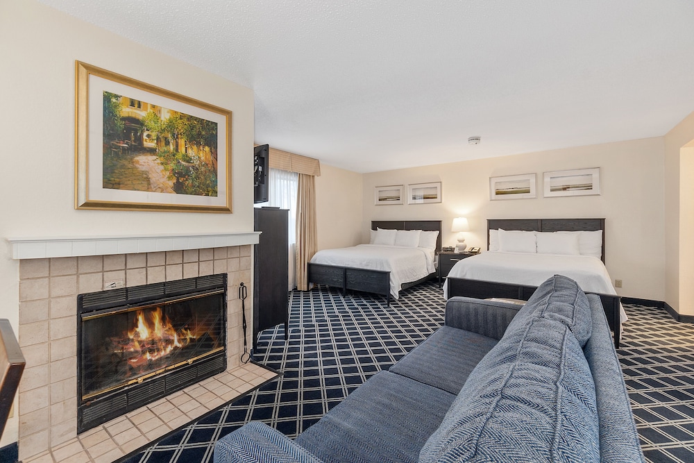 Luxury Studio Suite, Multiple Beds photo 1