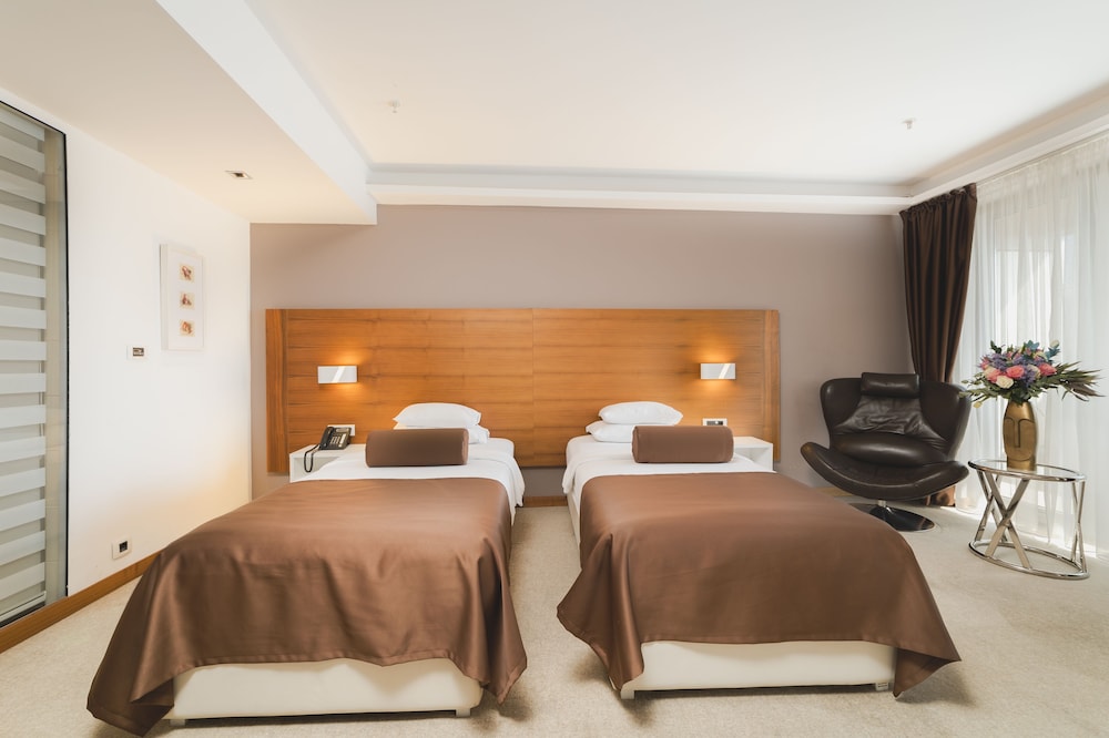 Superior Double or Twin Room (Single Use) photo 2