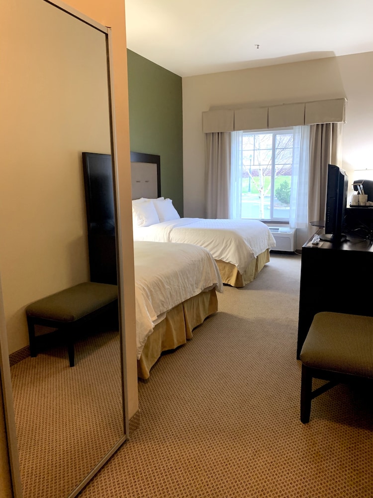 Suite, Multiple Beds (Additional Living Area) - Photo 7