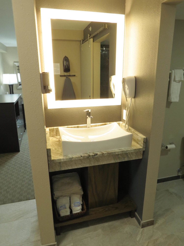 Suite, 1 Bedroom, Non Smoking photo 3