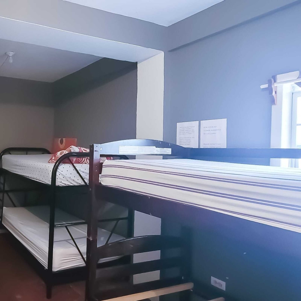 Comfort Shared Dormitory photo 1