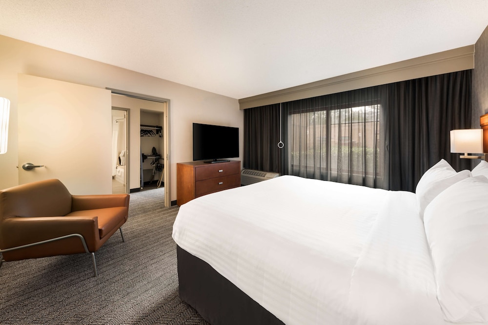 Suite, 1 King Bed with Sofa bed, Accessible (Mobility Tub One Bedroom) photo 3