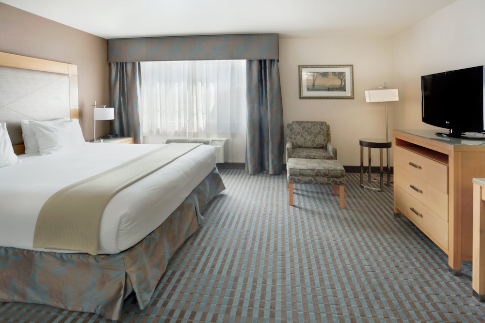 Standard Room, 1 King Bed with Sofa bed, Accessible (Communications) - Photo 2