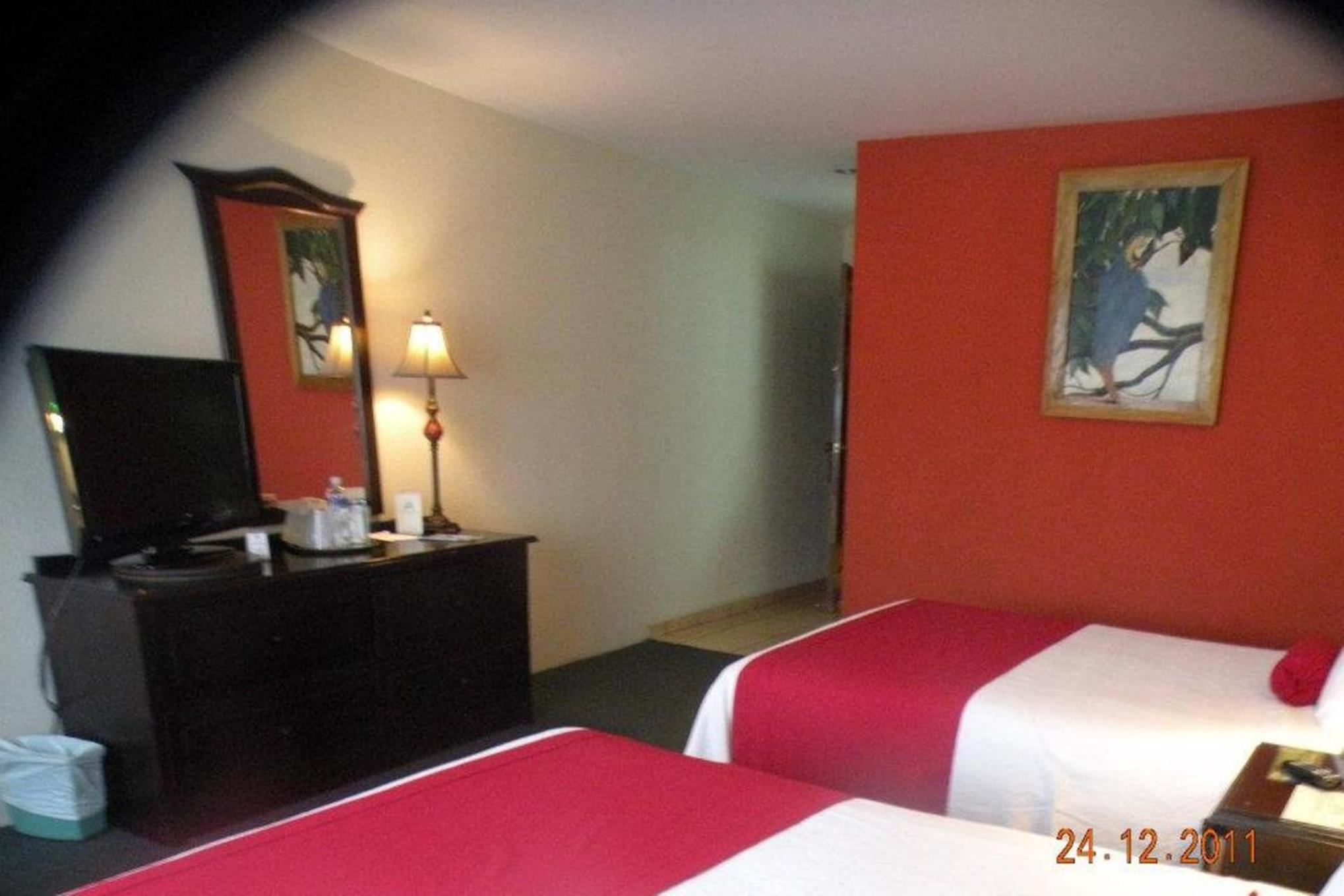 King Suite photo 1