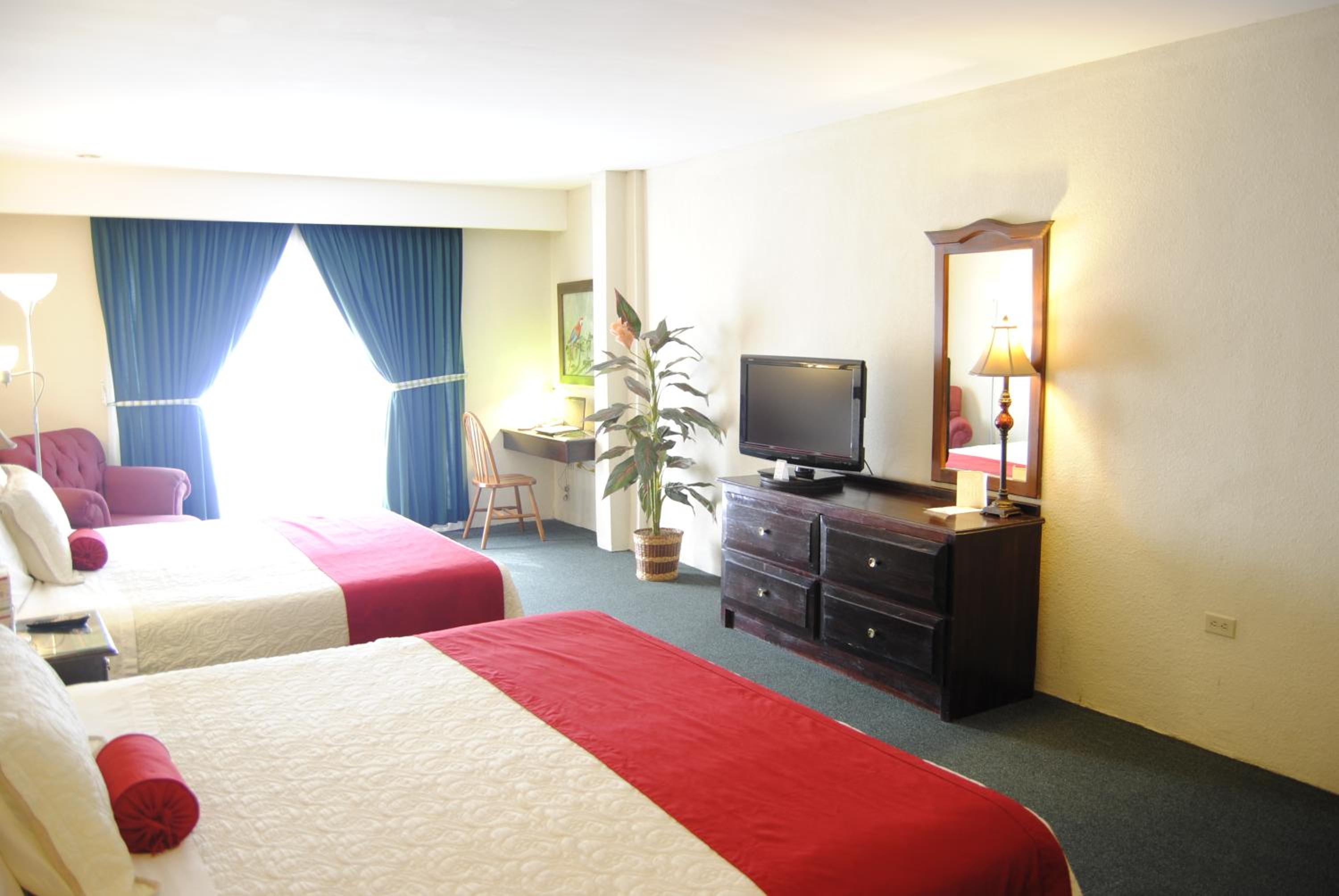 Standard Twin Room photo 3