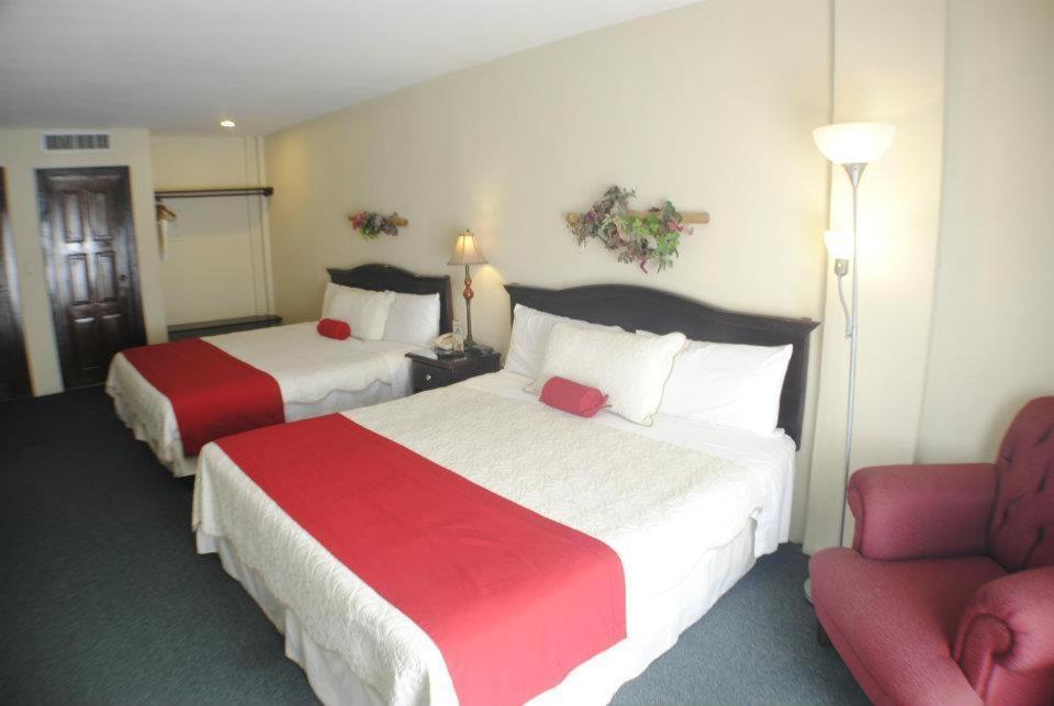 Standard Twin Room photo 1