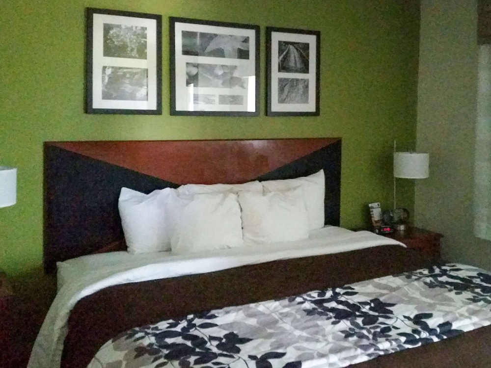 Standard Room, 1 King Bed, Non Smoking - Photo 7
