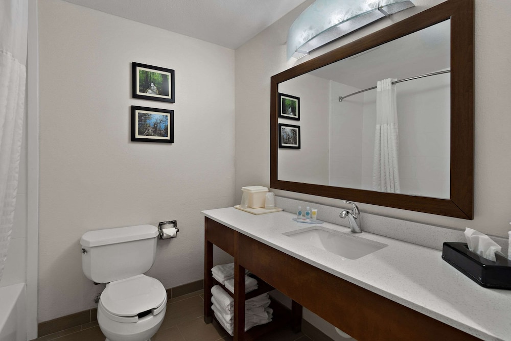 Suite, Multiple Beds, Accessible, Non Smoking - Photo 4