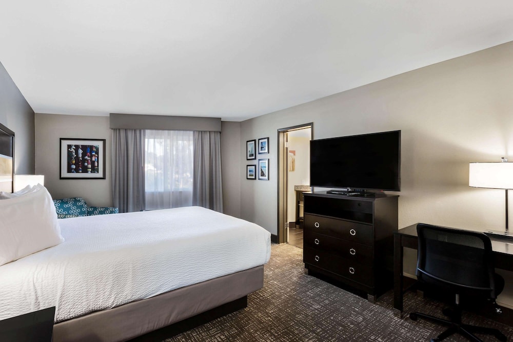 Room, 1 King Bed