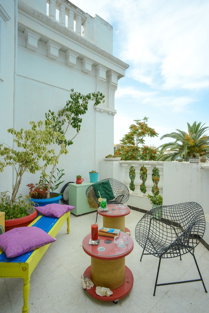 suite BECHIR photo 3