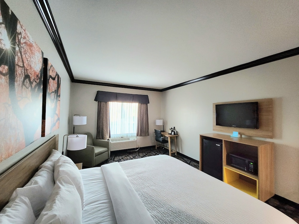 Room, 1 King Bed, Non Smoking - Photo 2