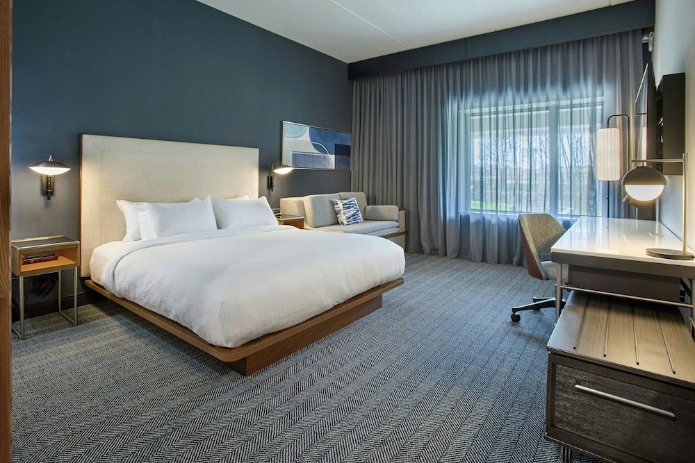 Room, 1 King Bed with Sofa bed (Mobility Accessible, Roll-In Shower)