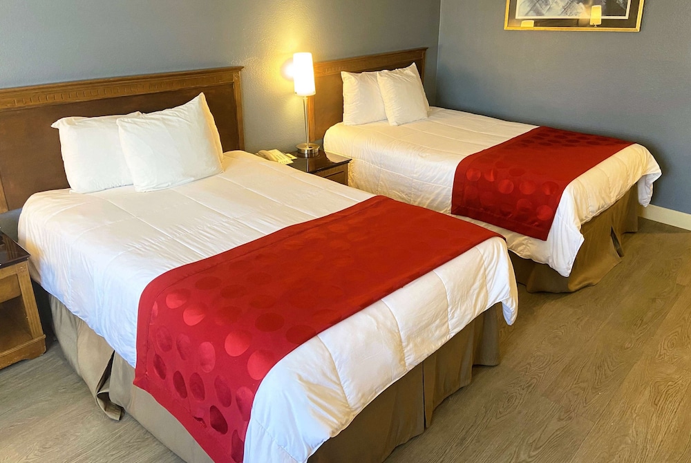 Double Room, 2 Double Beds, Non Smoking photo 1