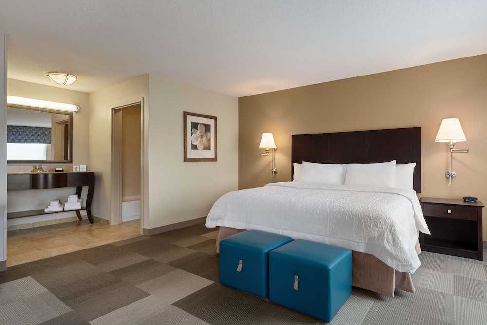 Room, 1 King Bed, Accessible - Photo 4