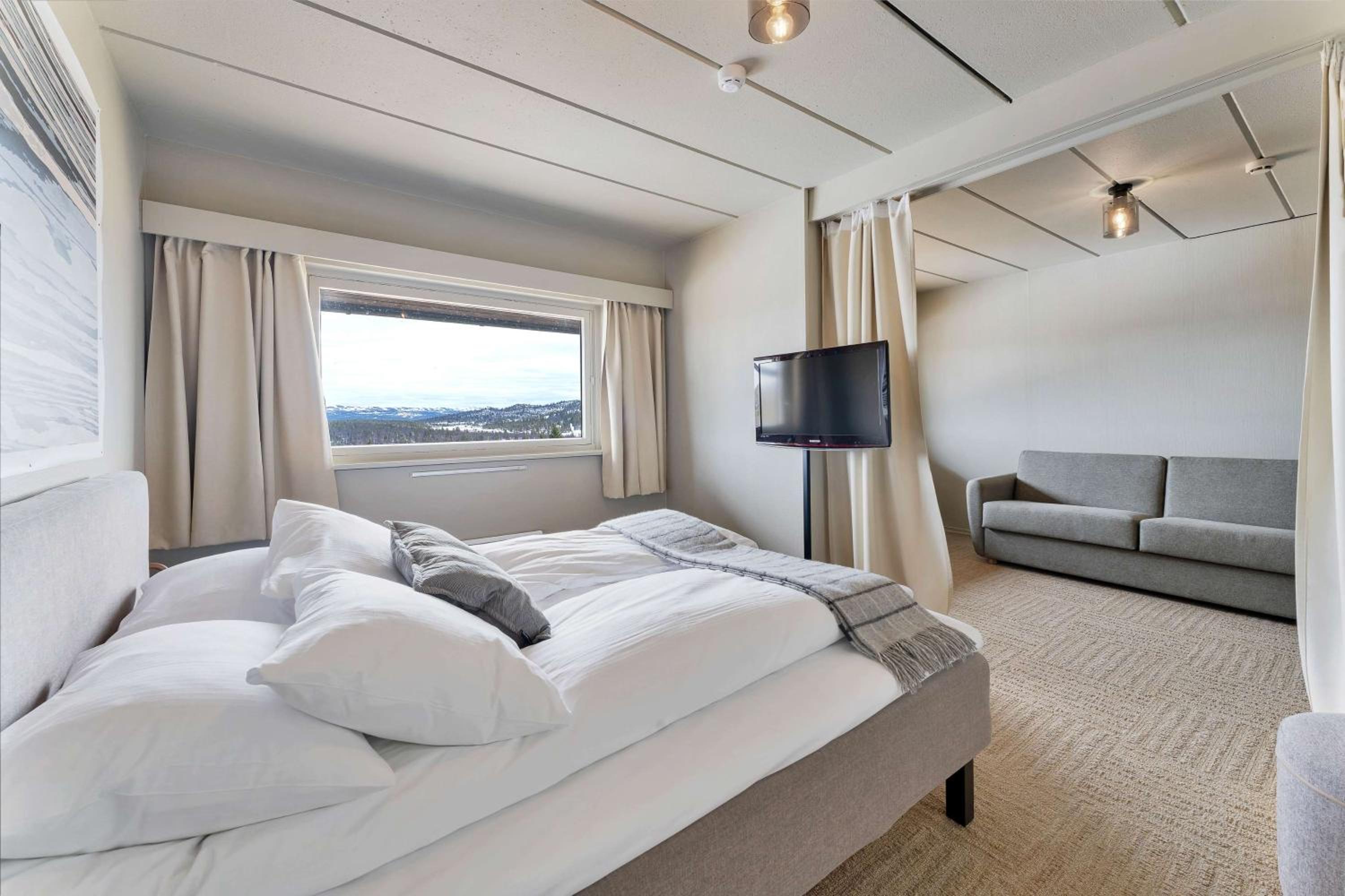 Junior Queen Suite photo 2