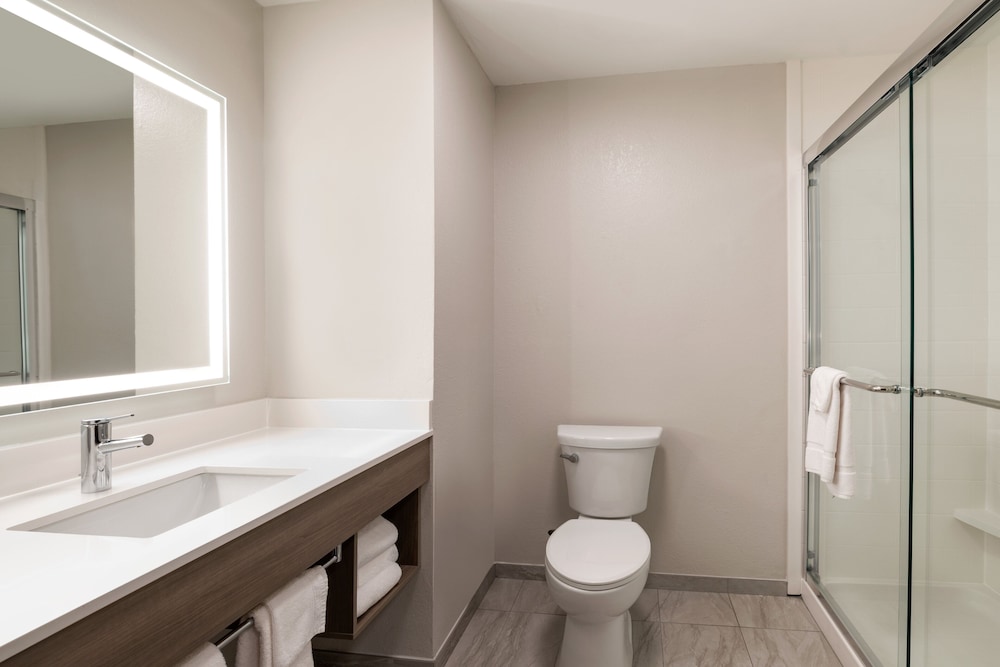 Holiday Inn Express & Suites Opelousas by IHG, Bilde 3