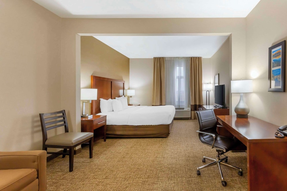 Room, 1 King Bed, Non Smoking (Pet Friendly) - Photo 3
