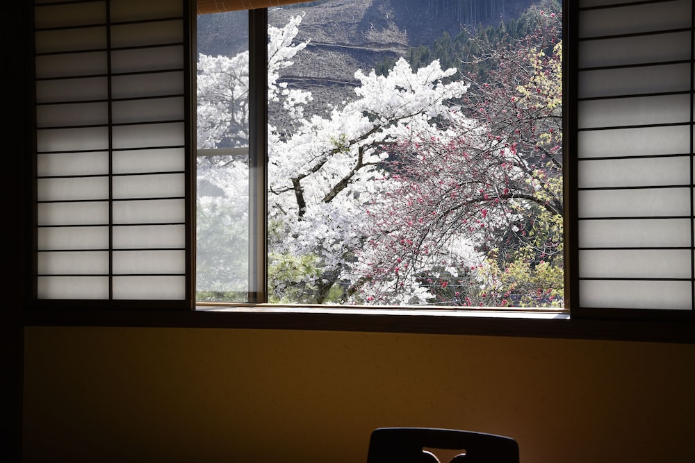 Japanese Style Room - 10 Tatami-mats, Shared Bathroom, Private Toilet with Joshu-Beef Dinner photo 2