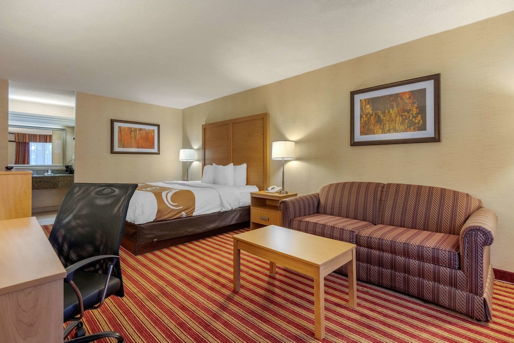 Standard Room, 1 King Bed, Smoking - Photo 6