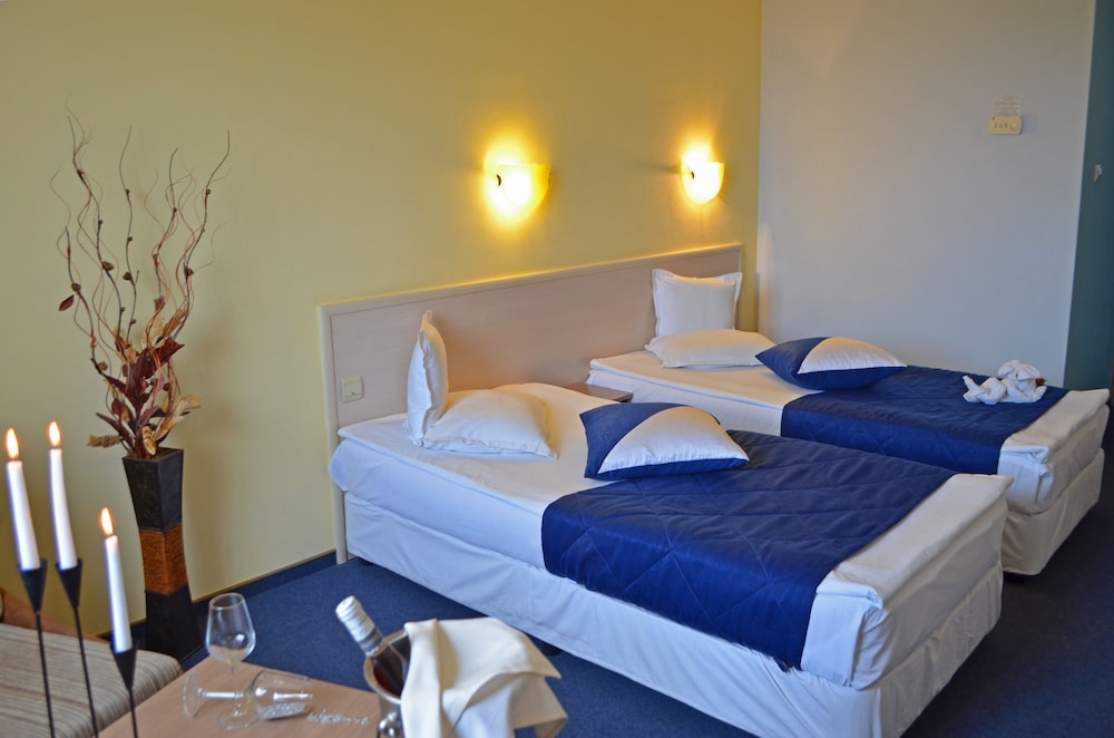 Deluxe Double or Twin Room photo 3