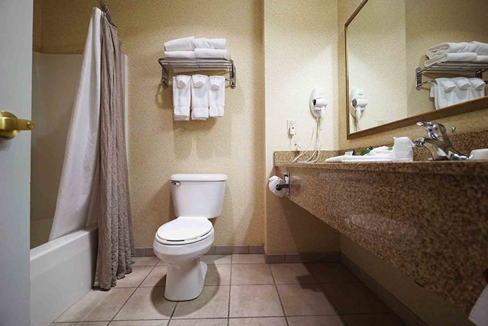 Suite, 1 King Bed, Non Smoking photo 2