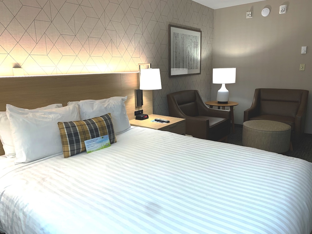 Studio Suite, 2 Queen Beds, Non Smoking - Photo 3