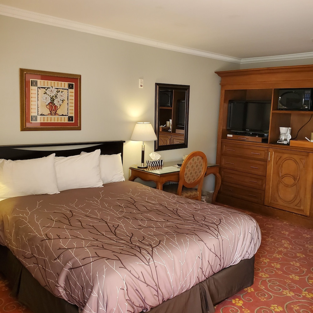 Room, 1 Queen Bed photo 1