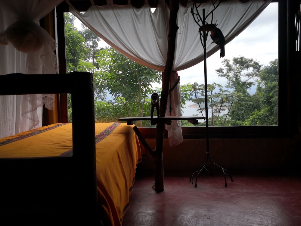 Basic Single Room photo 3